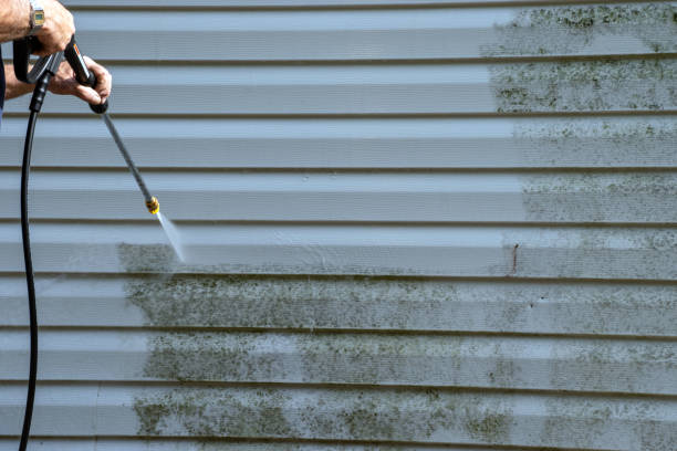 Best Carpet Removal and Disposal  in Munster, IN