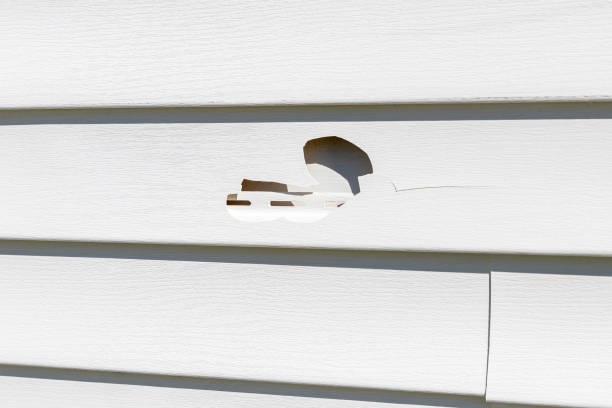 Best Appliance Removal  in Munster, IN